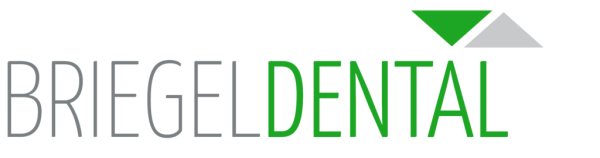 Briegel-Logo-Website-2019-1-1024x271